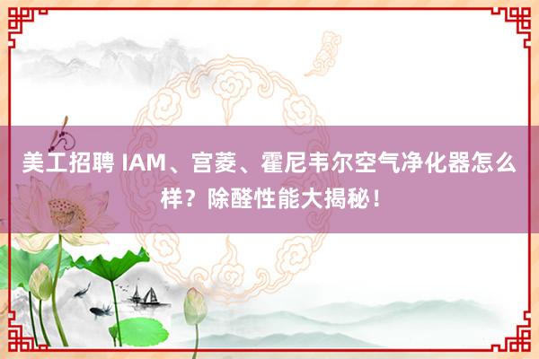 美工招聘 IAM、宫菱、霍尼韦尔空气净化器怎么样？除醛性能大揭秘！