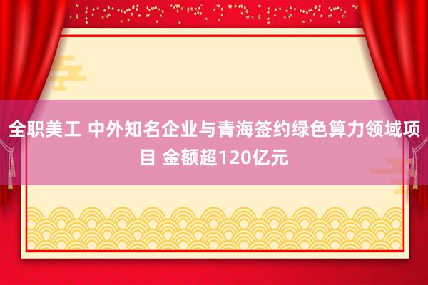 全职美工 中外知名企业与青海签约绿色算力领域项目 金额超120亿元