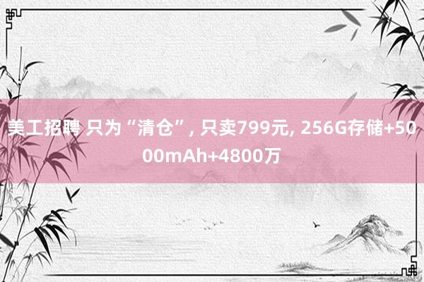 美工招聘 只为“清仓”, 只卖799元, 256G存储+5000mAh+4800万