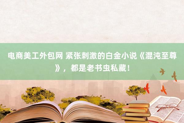 电商美工外包网 紧张刺激的白金小说《混沌至尊》，都是老书虫私藏！