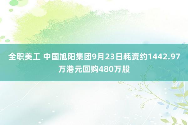 全职美工 中国旭阳集团9月23日耗资约1442.97万港元回购480万股